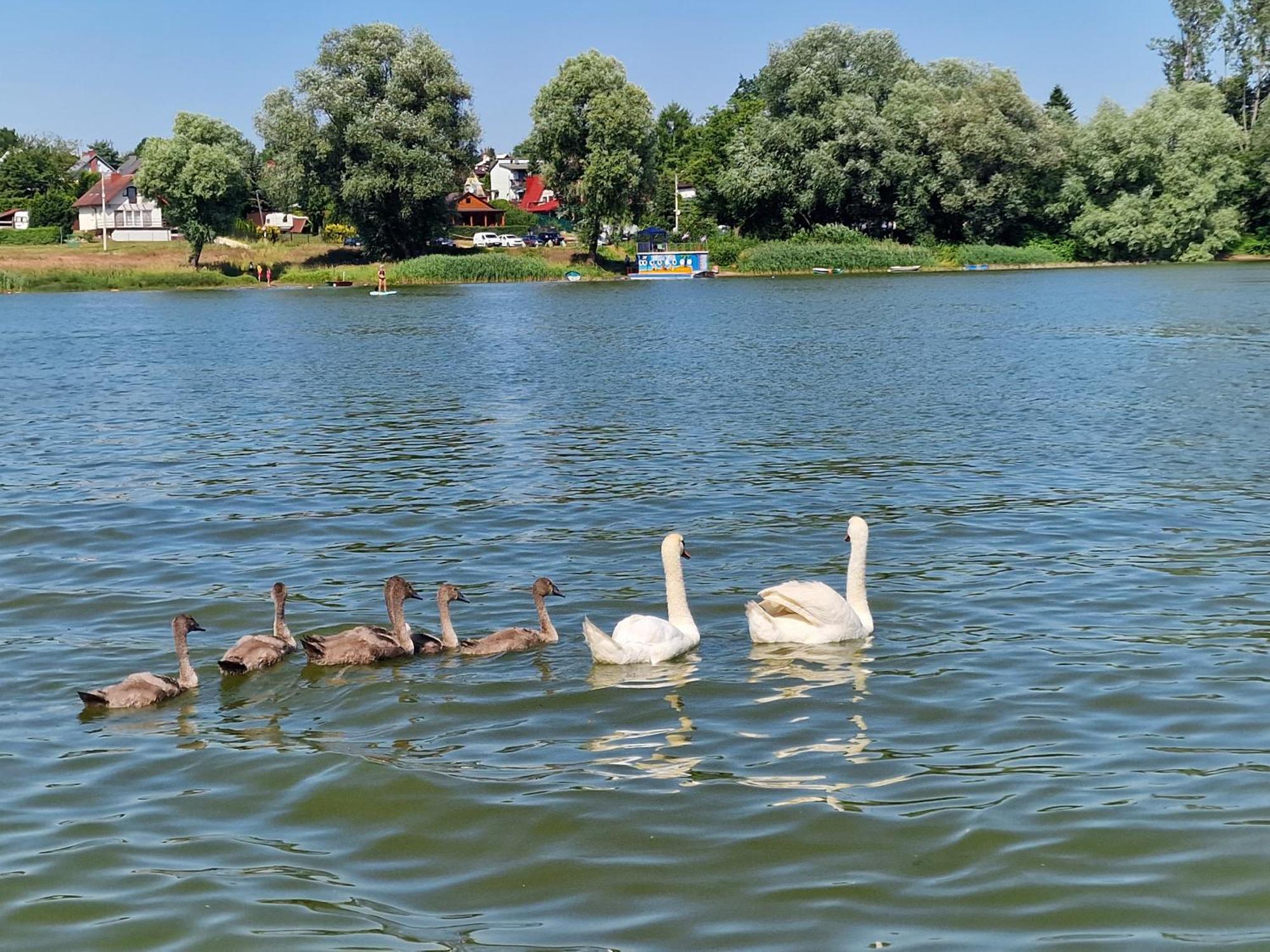 Marinasurf Baza Wypoczynkowa Przeczyce